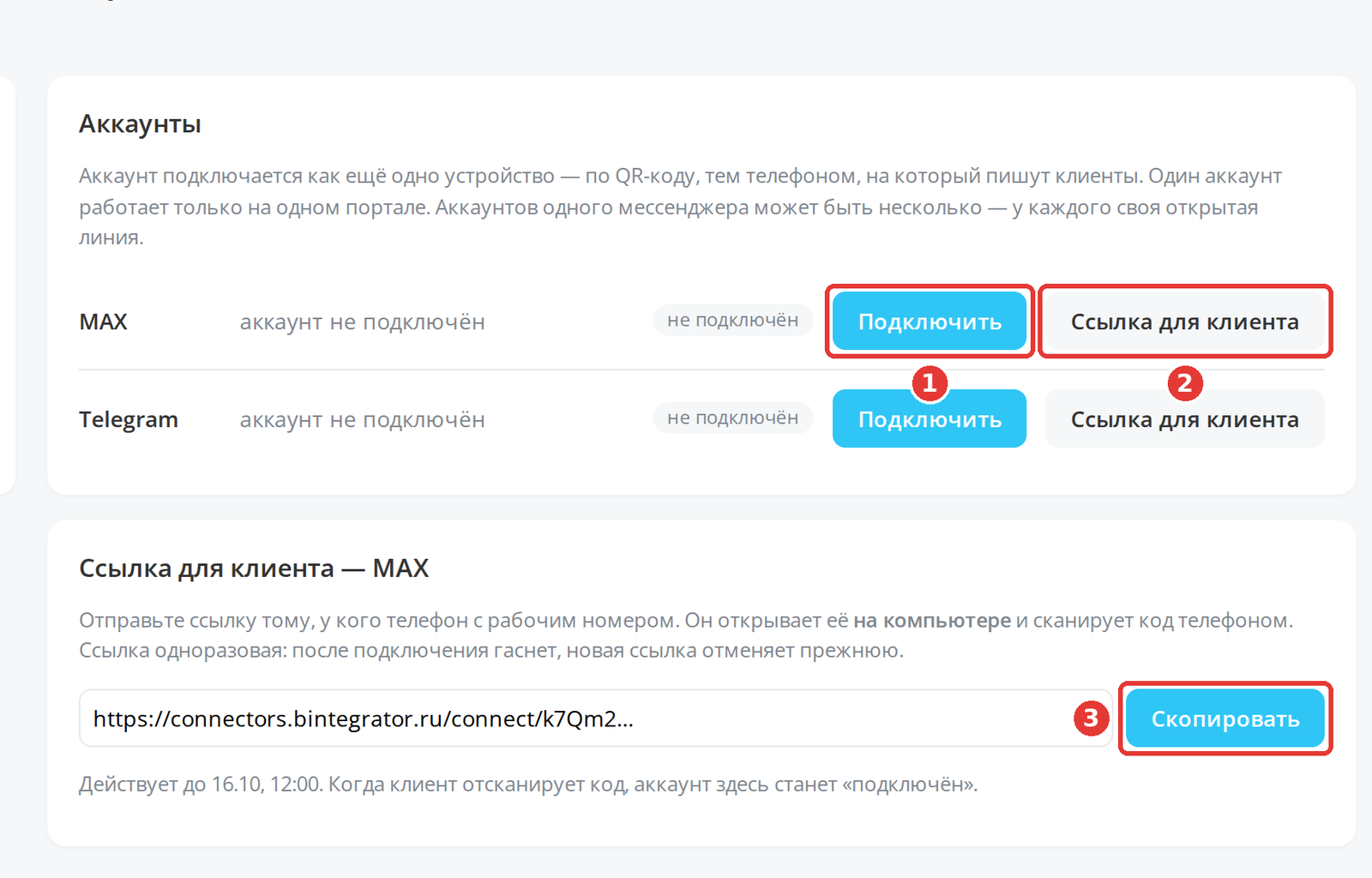 Раздел «Аккаунты» и выданная ссылка
